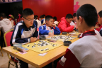 德城區(qū)中小學生圍棋聯賽落幕